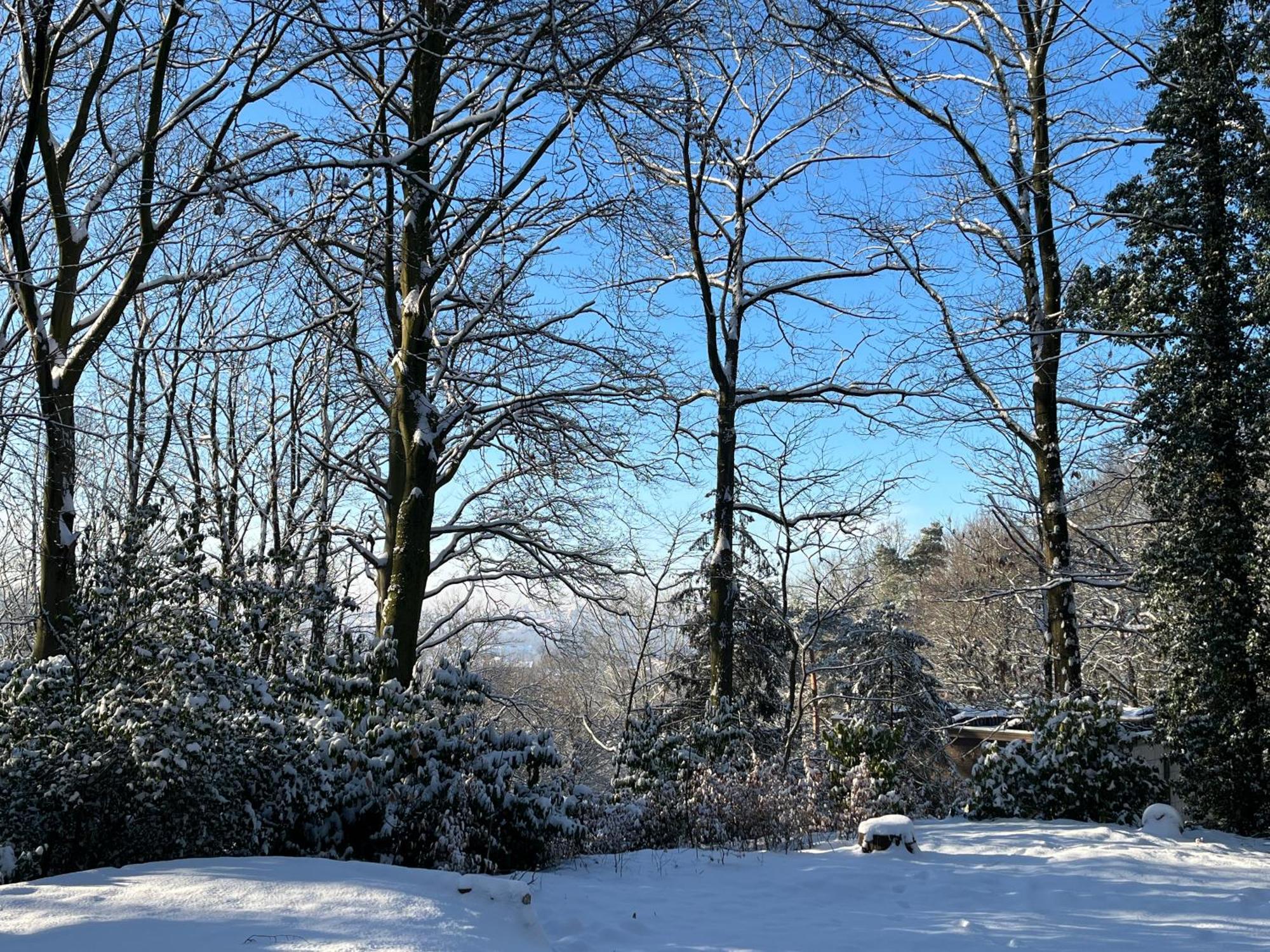Vakantiehuis Kokoon In 't *